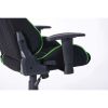Ergonomic Gaming Chair With Pillow